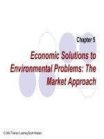 Economic Solutions to Environmental Problems: The Market Approach