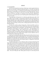 Thực trạng vận dụng phương pháp trị liệu dosaho trong phục hồi chức năng cho trẻ khuyết tật tại trường PTCB nguyễn đình chiểu (TT) 