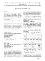 NGHIÊN CỨU THỰC NGHIỆM TÍNH CHẤT CỦA BÊ TÔNG TRONG ĐIỀU KIỆN NHIỆT ĐỘ CAO