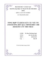 Tổng hợp và khảo sát các yếu tố ảnh hưởng đến quá trình điều chế zeolite x từ tro trấu 