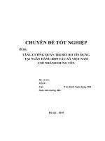 TĂNG CƯỜNG QUẢN TRỊ RỦI RO TÍN DỤNG  TẠI NGÂN HÀNG HỢP TÁC XÃ VIỆT NAM