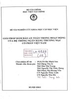 giải pháp đảm bảo an toàn trong hoạt động của hệ thống ngân hàng thương mại cổ phần việt nam 