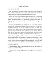 Chính sách  Maketing nhằm thu hút khách hàng sử dụng dịch vụ của Công ty Cổ phần du lịch và dịch vụ Hội An