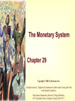 Introduction to The Monetary System