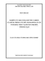 Nghiên Cứu Khả Năng Hấp Thu Carbon Của Rừng Trồng Cây Mỡ ( Manglietia) Ở Các Tuổi Khác Nhau Tại Huyện Chợ Đồn Tỉnh Bắc Kạn
