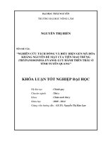 Nghiên Cứu Tách Dòng Và Biểu Hiện Gen Mã Hóa Kháng Nguyên Bề Mặt Của Tiên Mao Trùng (Trypanosomma Evansi) Lưu Hành Trên Trâu Ở Tỉnh Tuyên Quang