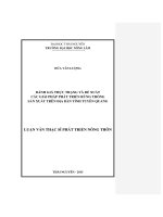 Đánh giá thực trạng và đề xuất các giải pháp phát triển rừng trồng sản xuất trên địa bàn tỉnh Tuyên Quang