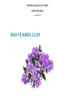 đề tài biến tính titan ddioxxit được điều chế từ quặng inmenit bình định và ứng dụng xử lí các hợp chất hữu cơ khó sinh hủy