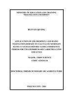 Application of chlorophyll and ratio vegetation indexes to calculate nitrogen rates at 10 days before tassel emergence period for two hybrid maize varieties LVN99 and LVN14