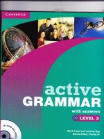 Active grammar 3 ( luyen thi toiec )