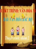 CƠ SỞ VĂN HÓA VIỆT NAM  VĂN HÓA BẮC BỘ