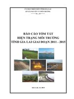 BÁO CÁO HIỆN TRẠNG MÔI TRƯỜNG TỈNH GIA LAI