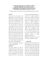 CƯỜNG ĐỘ CHỊU NÉN CỦA BÊ TÔNG SỬ DỤNG SỢI POLYPROPYLENE VÀ SILICA FUME