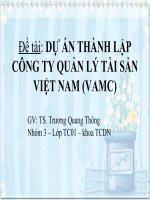 DỰ ÁN THÀNH LẬP CÔNG TY QUẢN LÝ TÀI SẢN VIỆT NAM (VAMC)