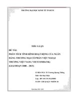 PHÂN TÍCH TÌNH HÌNH HOẠT ĐỘNG CỦA NGÂN HÀNG TMCP NGOẠI THƯƠNG VIỆT NAM ( VIETCOMBANK) (GIAI ĐOẠN 2008 – 2013)