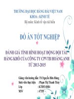 ĐÁNH GIÁ TÌNH HÌNH HOẠT ĐỘNG đội tàu HÀNG KHÔ của CÔNG TY CPVTB HOÀNG ANH từ 2013 2015 