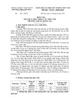 BÁO CÁO KẾT QUẢ THỰC HIỆN CÁC TIÊU CHÍ TRƯỜNG CHUẨN QUỐC GIA