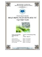 HOẠT ĐỘNG NGÂN HÀNG ĐẦU TƯ TẠI VIỆT NAM