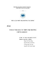 Tiểu luận Thị trường tài chính TÂM LÝ NHÀ ĐẦU TƯ TRÊN THỊ TRƯỜNG CHỨNG KHOÁN