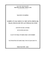 Nghiên Cứu Đặc Điểm Cấu Trúc Rừng Phòng Hộ Trạng Thái IIA Hồ Yên Lập Tỉnh Quảng Ninh