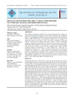 Khảo sát thành phần hóa học và hoạt tính sinh học của tinh dầu ngải sậy (Zingiber Montanum)