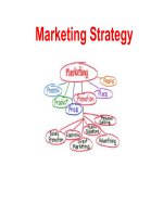 Marketing Strategy