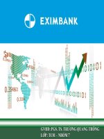 PHÂN TÍCH NGÂN HÀNG THƯƠNG MẠI CỔ PHẦN XUẤT NHẬP KHẨU VIỆT NAM