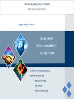 HOẠT ĐỘNG NGÂN HÀNG ĐẦU TƯ TẠI VIỆT NAM