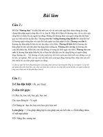 Tiếng việt thực hành