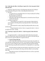 Bài tập môn thủ tục hành chính