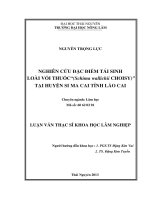 Nghiên Cứu Đặc Điểm Tái Sinh Loài Vối Thuốc (Schima Wallichii Choisy) Tại Huyện Si Ma Cai Tỉnh Lào Cai