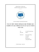 Tiểu luận môn nghiệp vụ ngân hàng thương mại tái cấu trúc trong mối quan hệ với hiệu quả nghiên cứu quá trình tái cấu trúc tại các NHTM việt nam 