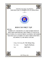 NGHIÊN cứu ẢNH HƯỞNG của một số BIỆN PHÁP kỹ THUẬT đến SINH TRƯỞNG, PHÁT TRIỂN và NĂNG SUẤT CHẤT LƯỢNG của nấm sò TRỒNG tại PHÒNG THÍ NGHIỆM VIỆN đào tạo và NGHIÊN cứu PHÁT TRIỂN SINH NÔNG hải PHÒNG vụ THU ĐÔNG năm 2013