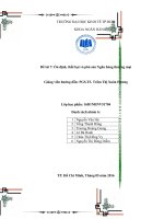 Tiểu luận môn nghiệp vụ ngân hàng thương mại ổn định thất bại và phá sản ngân hàng thương mại 