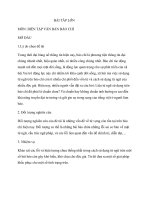 LOẠI HÌNH LAO ĐỘNG báo CHÍ  tá báo mạng điện tử k34 