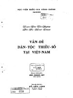 vấn đề dân tộc thiểu số tại việt nam 