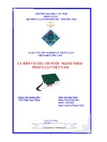 LUẬN VĂN LY HÔN CÓ YẾU TỐ NƯỚC NGOÀI THEO PHÁP LUẬT VIỆT NAM