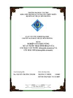 nghiên cứu khả năng xử lý nước thải sinh hoạt của cây rau cần nước (oenanthe javanica) và cây rau om (limnophila aromatic)