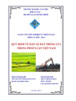 LUẬN VĂN QUY ĐỊNH PHÁP LUẬT VỀ BẢO VỆ ĐẤT TRỒNG LÚA