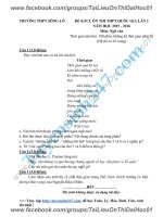 Đề thi thử 2016 THPT quốc gia môn ngữ văn trường thpt  sông lô vĩnh phúc lần 2