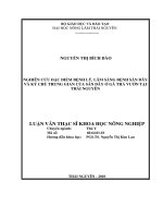 Nghiên Cứu Đặc Điểm Bệnh Lý, Lâm Sàng Bệnh Sán Dây Và Ký Chủ Trung Gian Của Sán Dây Ở Gà Thả Vườn Tại Thái Nguyên