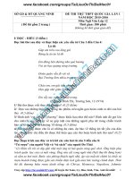 Đề thi thử 2016 THPT quốc gia môn ngữ văn sở quảng ninh lần 1