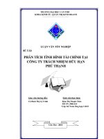 PHÂN TÍCH TÌNH HÌNH TÀI CHÍNH TẠI CÔNG TY TRÁCH NHIỆM HỮU HẠN PHÚ THẠNH