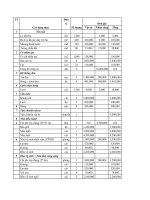 Dự án sân bóng đá mi ni cỏ nhân tạo (đầy đủ a z bảo vệ được 9 điểm) 