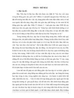 skkn nâng cao chất lượng NGLL 