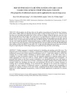 MỘT SỐ TÍNH CHẤT CỦA BÊ TÔNG XI MĂNG CỐT LIỆU CAO SU VÀ KHẢ NĂNG ÁP DỤNG VỚI BÊ TÔNG DẠNG TẤM LỚN