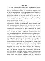 Biện pháp nhằm hoàn thiện công tác đền bù thiệt hại, giải phóng mặt bằng tại trung tâm phát triển quỹ đất thành phố hạ long   quảng ninh 