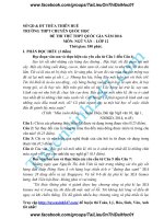 Đề thi thử 2016 THPT quốc gia môn ngữ văn trường thpt  chuyên quốc học huế lần 1