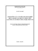 ẢNH HƯỞNG CỦA VĂN HÓA DOANH NGHIÊP̣ ĐẾN CAM KẾT GẮN BÓ CỦA NHÂN VIÊN TẠI CÔNG TY CỔ PHẦN CÔNG NGHỆ TINH VÂN