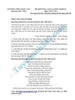 Đề thi thử 2016 THPT quốc gia môn ngữ văn trường thpt  ngọc tảo hà nội lần 1